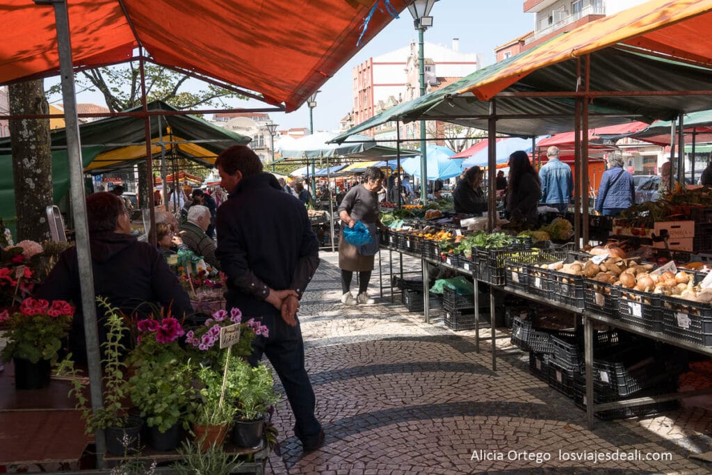 mercado de la fruta de caldas da rainha