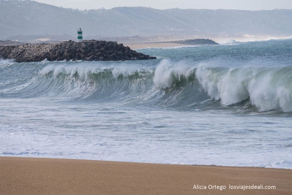 Ruta de Oporto a Lisboa en bus: Aveiro, Coímbra, Nazaré y Óbidos 37 olas en la playa de nazare