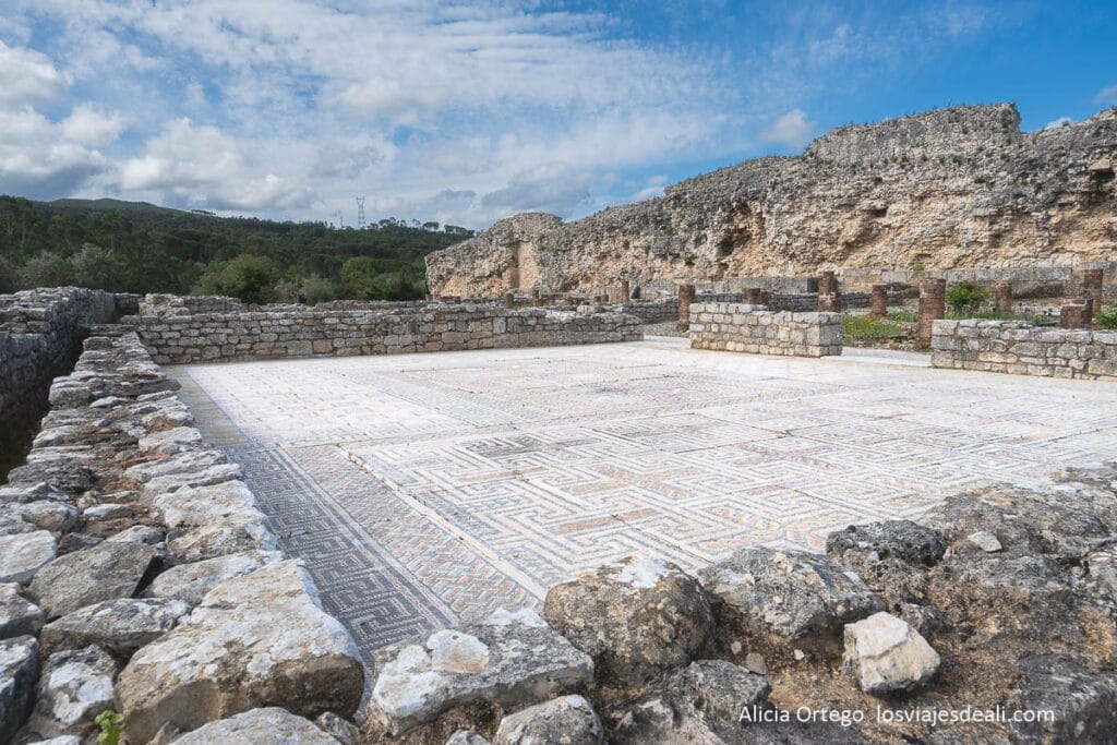 domus con mosaicos de conimbriga