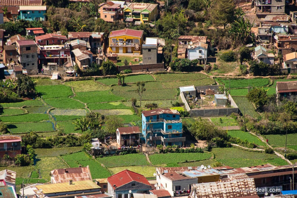 Antananarivo (Tana): qué ver y hacer en un día en la capital de Madagascar 49 arrozales en antananarivo