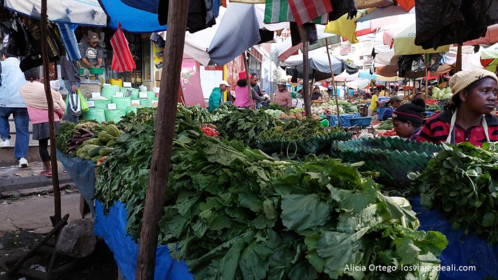 Antananarivo (Tana): qué ver y hacer en un día en la capital de Madagascar 59 puesto de verduras de analakely