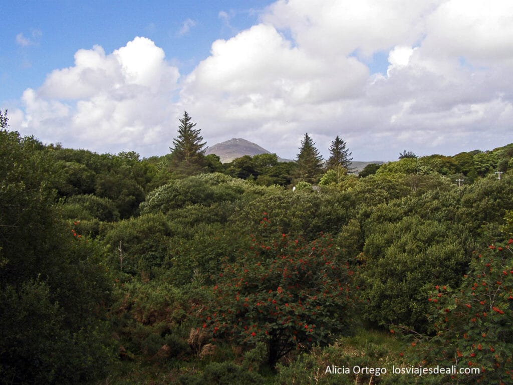 Ruta por la Costa Oeste de Irlanda en una Semana: de Dublín a Galway y Kerry 60 montañas de connemara en la ruta por la costa oeste de irlanda