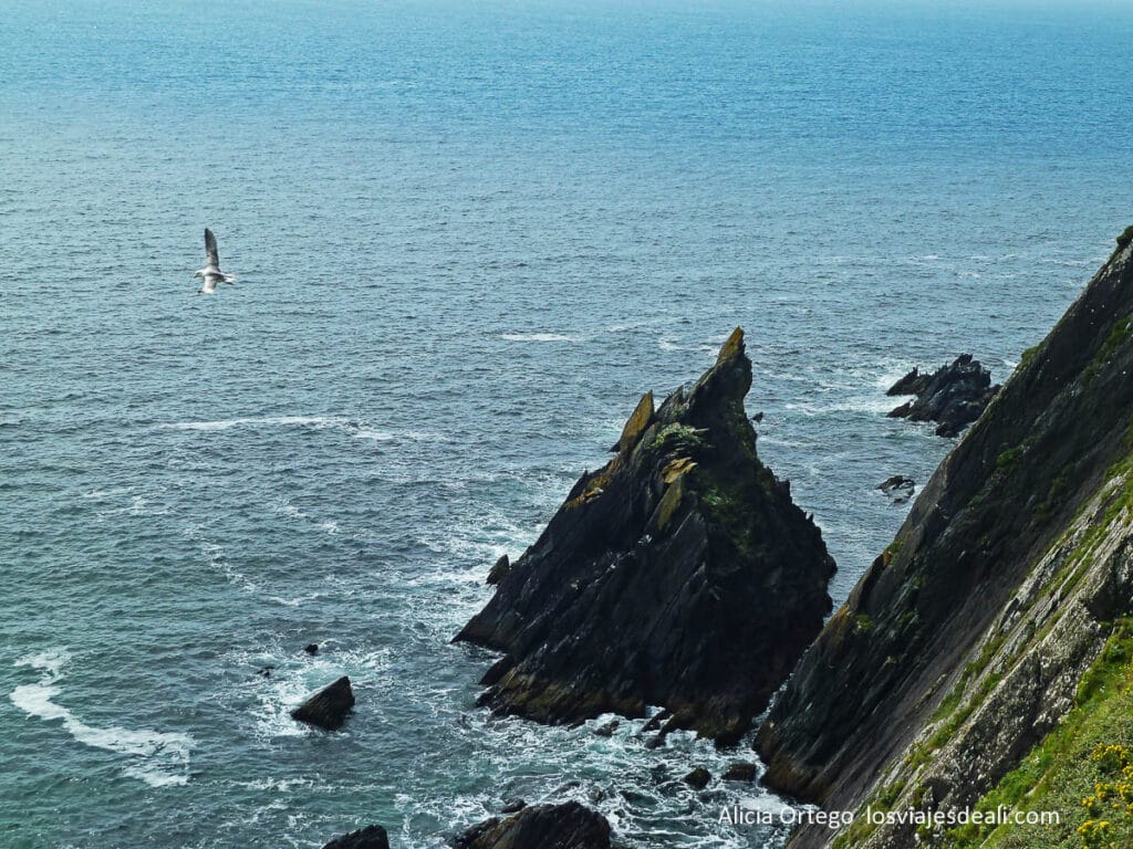 Ruta por la Costa Oeste de Irlanda en una Semana: de Dublín a Galway y Kerry 63 acantilados de peninsula de dingle